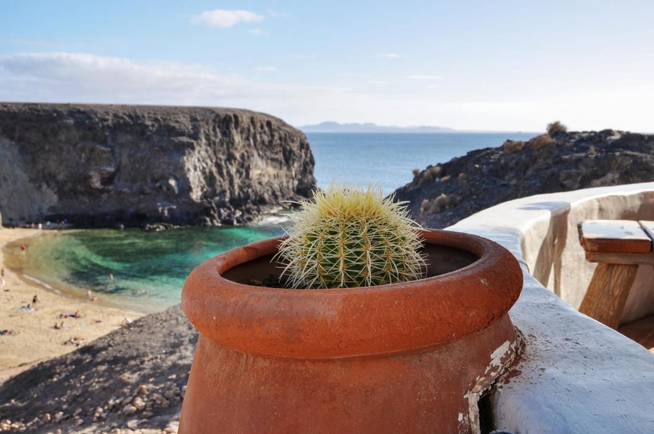 Roble * Yaiza (Lanzarote)
